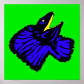 Neon Blue Frilled-Nackenechard Poster (Vorne)