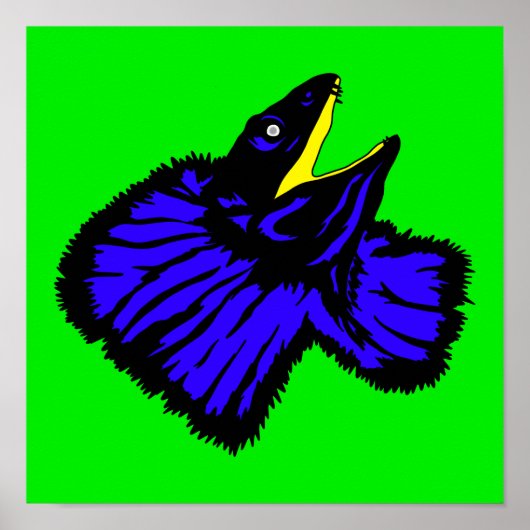 Neon Blue Frilled-Nackenechard Poster (Vorne)