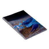 Neon Blue Scorpion Notebook Notizblock (Rechte Seite)