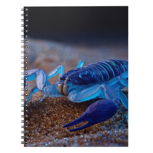 Neon Blue Scorpion Notebook Notizblock (Vorderseite)