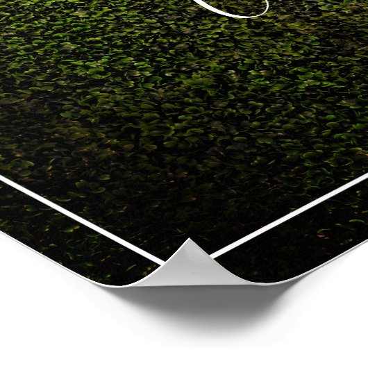 Neon Boxwood Wedding Willkommen Poster (Ecke)