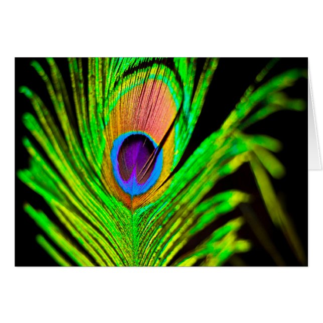 Neon Colors Peacock Feather (Vorderseite (Horizontal))