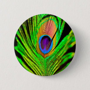 Neon Colors Peacock Feather Button