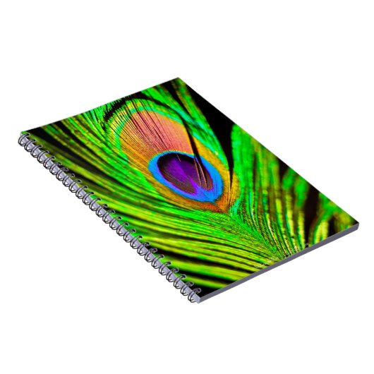 Neon Colors Peacock Feather Notizblock (Rechte Seite)