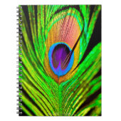 Neon Colors Peacock Feather Notizblock (Vorderseite)