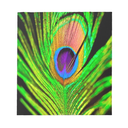 Neon Colors Peacock Feather Notizblock (Vorderseite)
