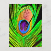 Neon Colors Peacock Feather Postkarte (Vorderseite)