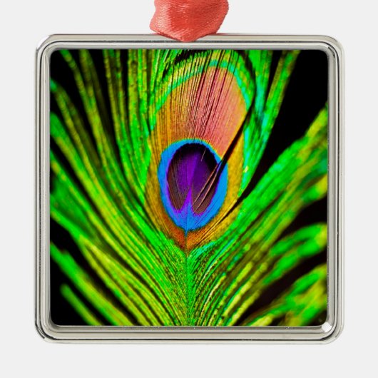 Neon Colors Peacock Feather Silbernes Ornament (Vorne)