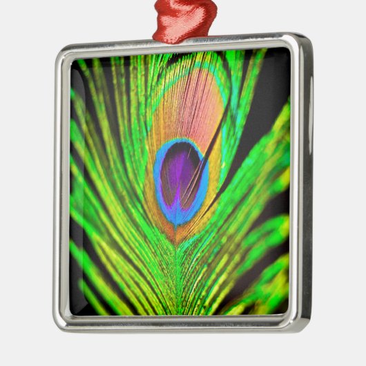 Neon Colors Peacock Feather Silbernes Ornament (Links)