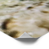 Neon Damselfish Poster (Ecke)