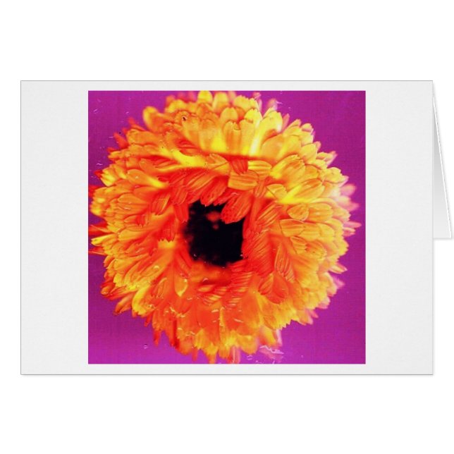 NEON FIORI (Vorderseite (Horizontal))