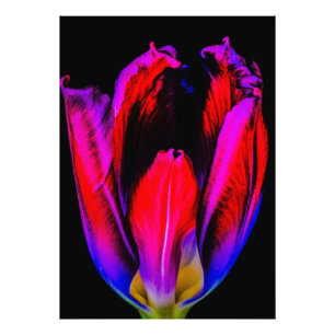 Neon Glow Tulip Fotodruck
