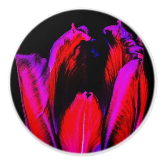 Neon Glow Tulip Keramikknauf (Vorderseite)