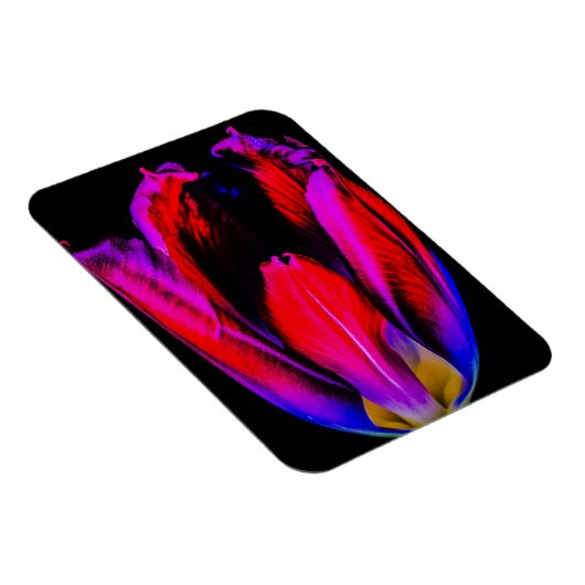 Neon Glow Tulip Magnet (Rechte Seite)