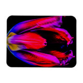 Neon Glow Tulip Magnet (Horizontal)