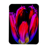 Neon Glow Tulip Magnet (Vertikal)