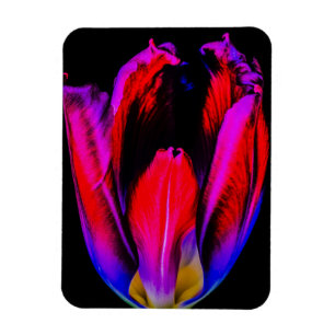 Neon Glow Tulip Magnet