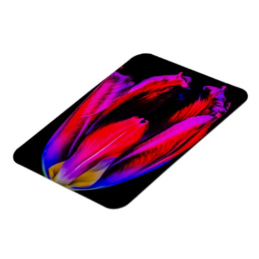 Neon Glow Tulip Magnet (Linke Seite)