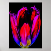 Neon Glow Tulip Poster (Vorne)