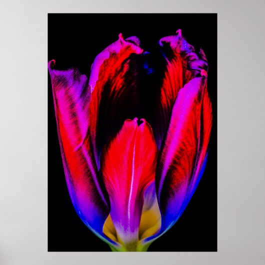 Neon Glow Tulip Poster (Vorne)