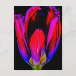 Neon Glow Tulip Postkarte