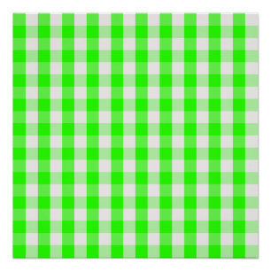 Neon Green Gingham Pattern von Shirley Taylor Poster