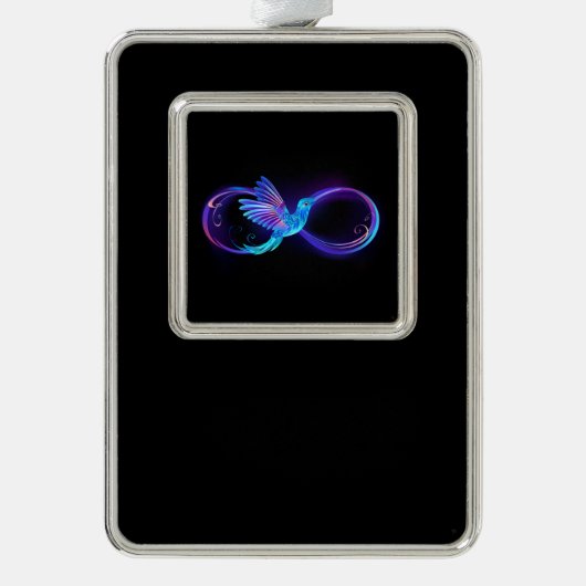 Neon Infinity Symbol mit dem leuchtenden Hummingbi Rahmen-Ornament Silber (Vorderseite)