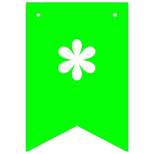 Neon Mix Solid Color | Benutzerdefiniert Wimpelkette (Erste Fahne)