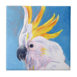 Neon Mohawk - Cockatoo Fliese<br><div class="desc">Neon Mohawk I von Jennifer Paxton Parker. Ein tropisches Kakadu stürzt auf einen neonfarbenen Mohawk. | 162732Z</div>