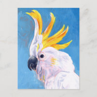 Neon Mohawk - Cockatoo