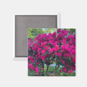 Neon Nature Magnet (Vorderseite/Rückseite)