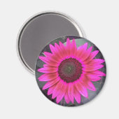 Neon Pink Sunflower Magnet (Vorderseite/Rückseite)