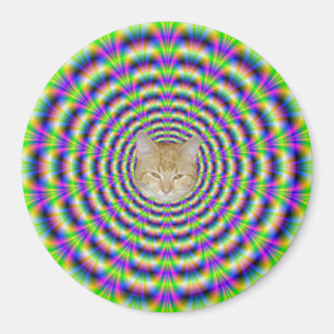 Neon Pulse Magnet + Katze