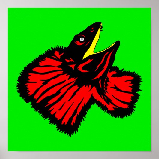 Neon Red Frilled Nackenechard Poster (Vorne)