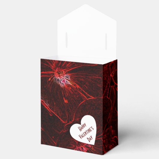 Neon Red Violas Geschenkschachtel (Geöffnet)