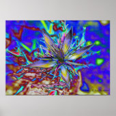 Neon Star Poster (Vorne)