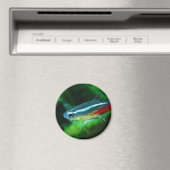 Neon Tetra Fish Paracheirodon Innesi Magnet (In Situ (Geschirrspüler))