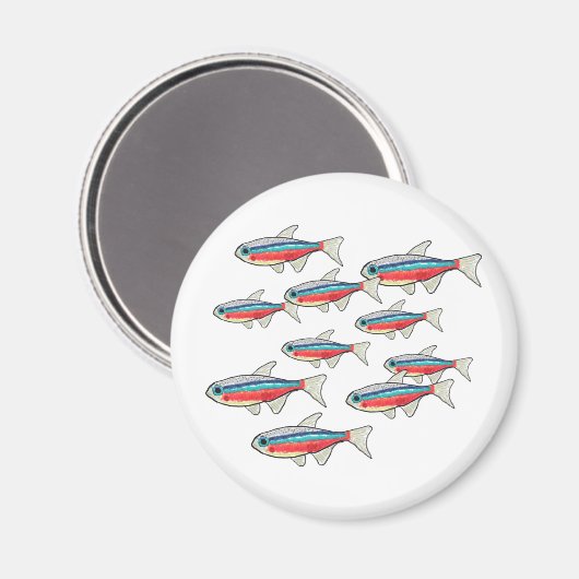 Neon Tetra Magnet (Vorderseite/Rückseite)