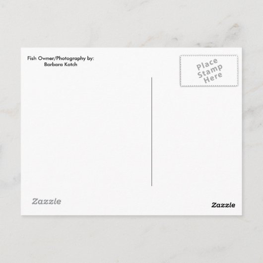 Neon Tetra Postkarte (Rückseite)