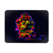 Neon Tree Explosion Magnet (Horizontal)