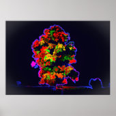 Neon Tree Explosion Poster (Vorne)