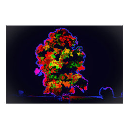 Neon Tree Explosion Poster