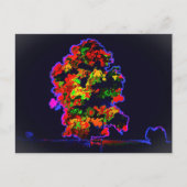 Neon Tree Explosion Postkarte (Vorderseite)