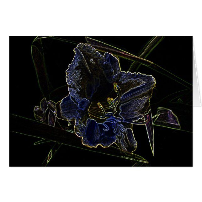 Neonglühen-Taglilie-Blume (Vorderseite (Horizontal))