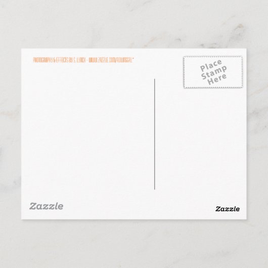 Neonmarkt Postkarte (Rückseite)