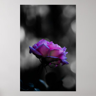Neonrosa auf Schwarz-Weiß-Bokeh-Plakat Poster