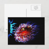 Neonseeanemonen Postkarte (Vorne/Hinten)