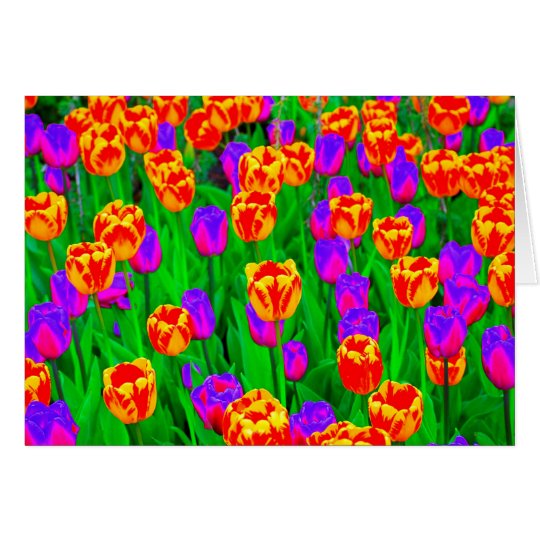 Neontulpe-alles Gute zum Geburtstag Karte