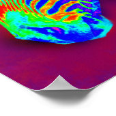 Neonzebra Poster (Ecke)