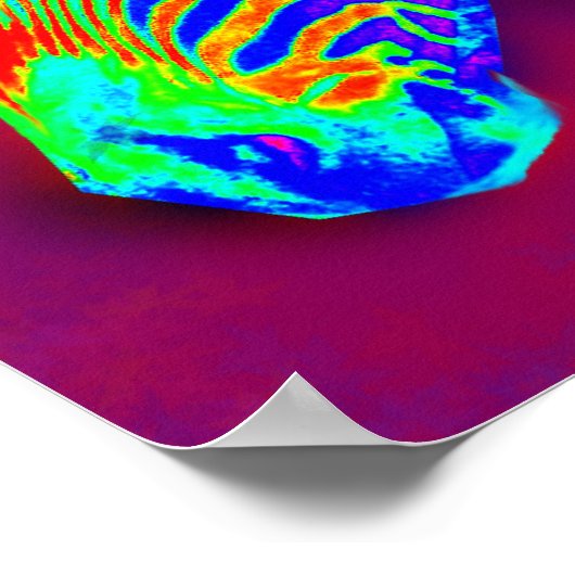 Neonzebra Poster (Ecke)